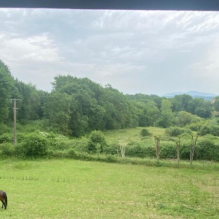 Appartement Dans Belle Maison Basque Mouguerre Buitenkant foto